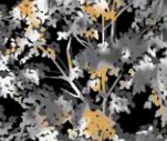 Black, White & 24 Karat 2871M
