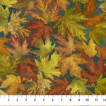 Autumn Splendor 82-68