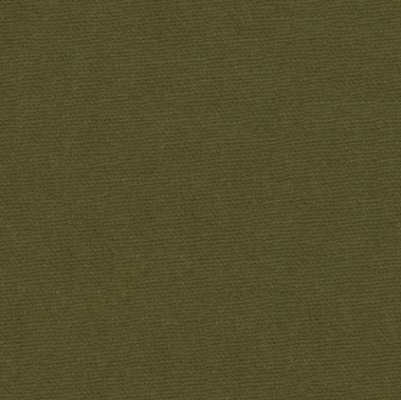 Duck Canvas 60" 10oz  Green