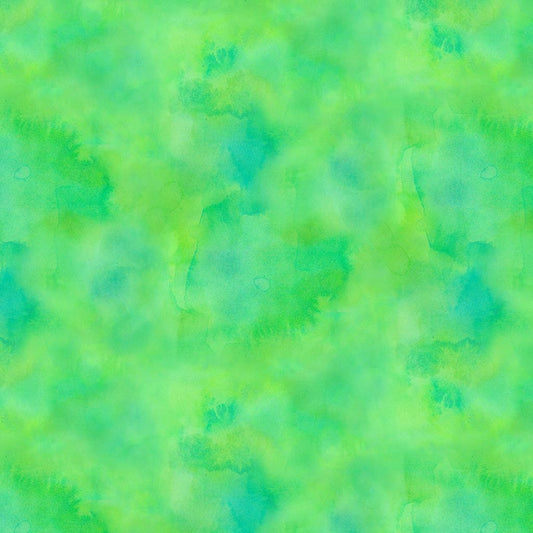 Garden Fresh Y4262-19D