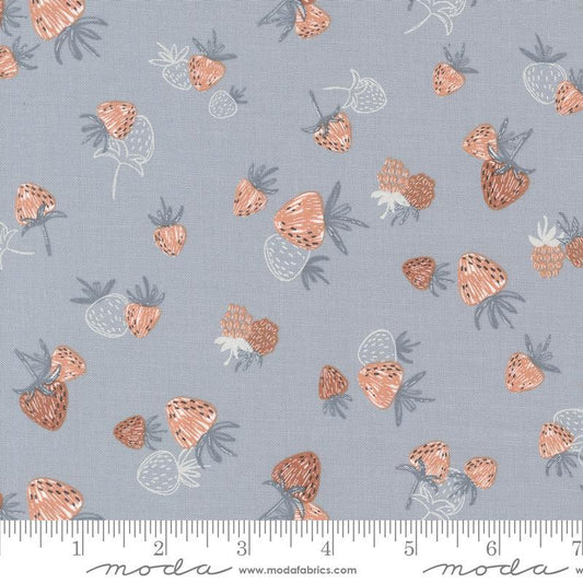 Chirp 539032-21