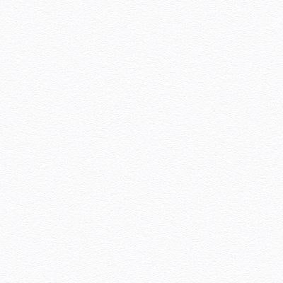 Lights On - Oops A Daisy