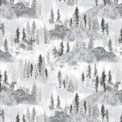 Winter on Ice 53745-1