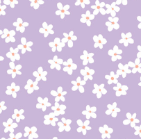 Daisy & Lilly 104-01