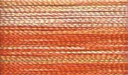 Floriani Variegated Rayon V13