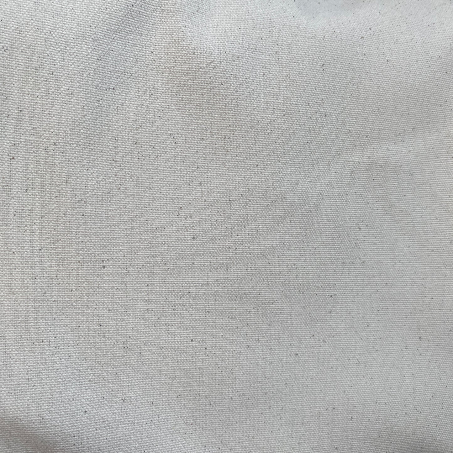Duck Canvas, 60", 10oz Natural