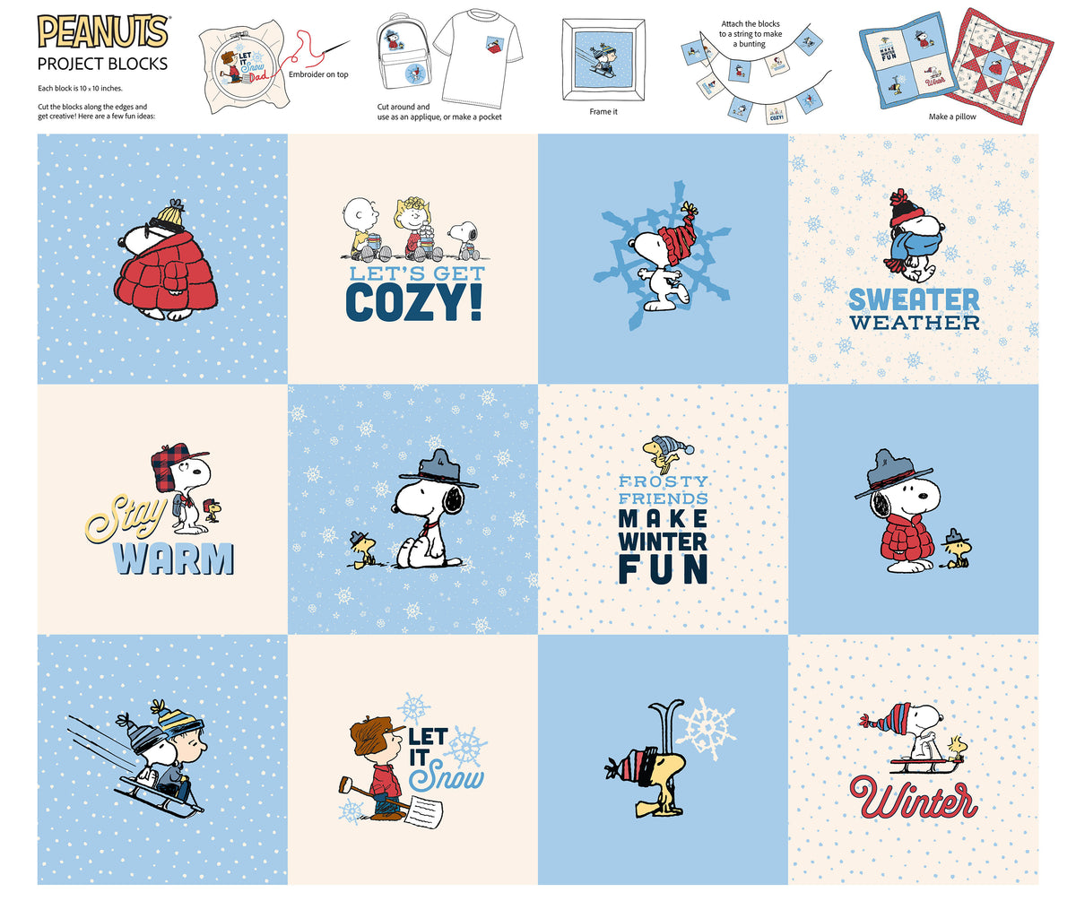 Peanuts Frosty Friends Blocks
