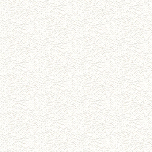 Rainy Days Y5006-62 Taupe Dots