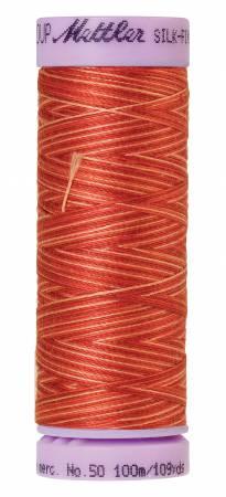 Mettler Multi/ 100m 9832