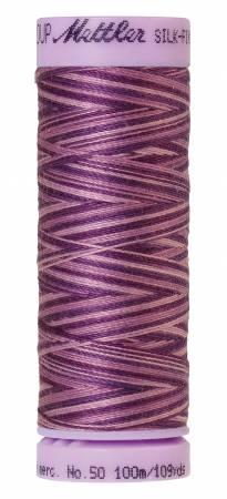 Mettler Multi/ 100m 9838