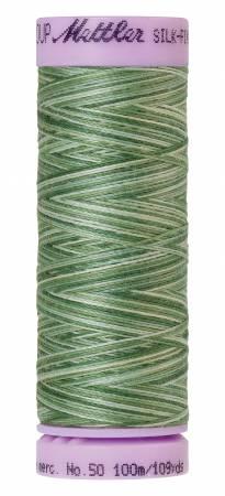 Mettler Multi/ 100m 9819