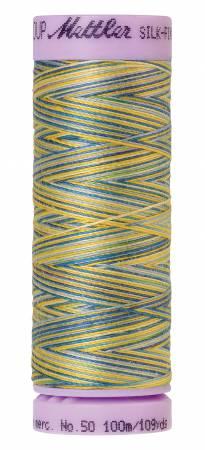 Mettler Multi/ 100m 9829