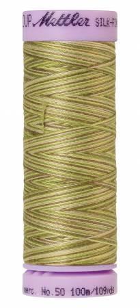 Mettler Multi/ 100m 9820
