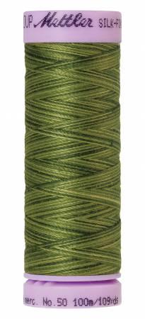 Mettler Multi/ 100m 9818