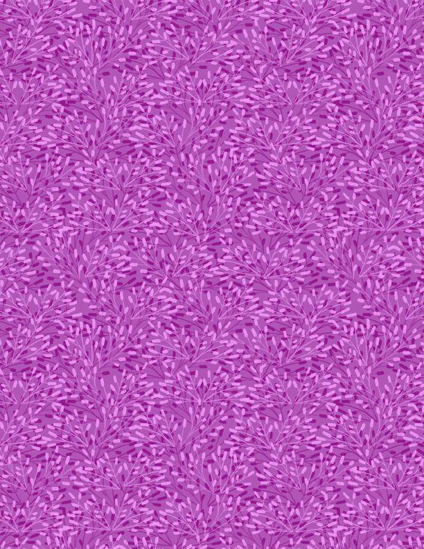 Whimsy 75509 633