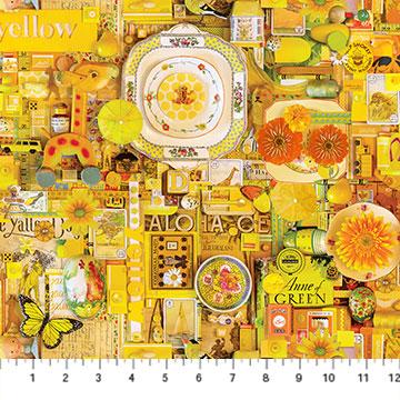 Color Collage DP22413-52