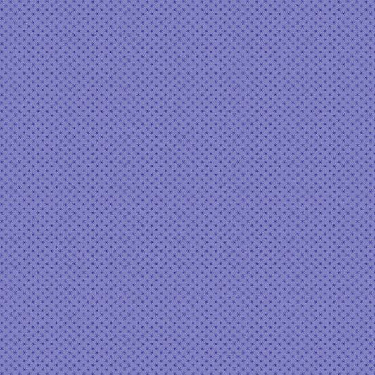 Century Rainbow Periwinkle