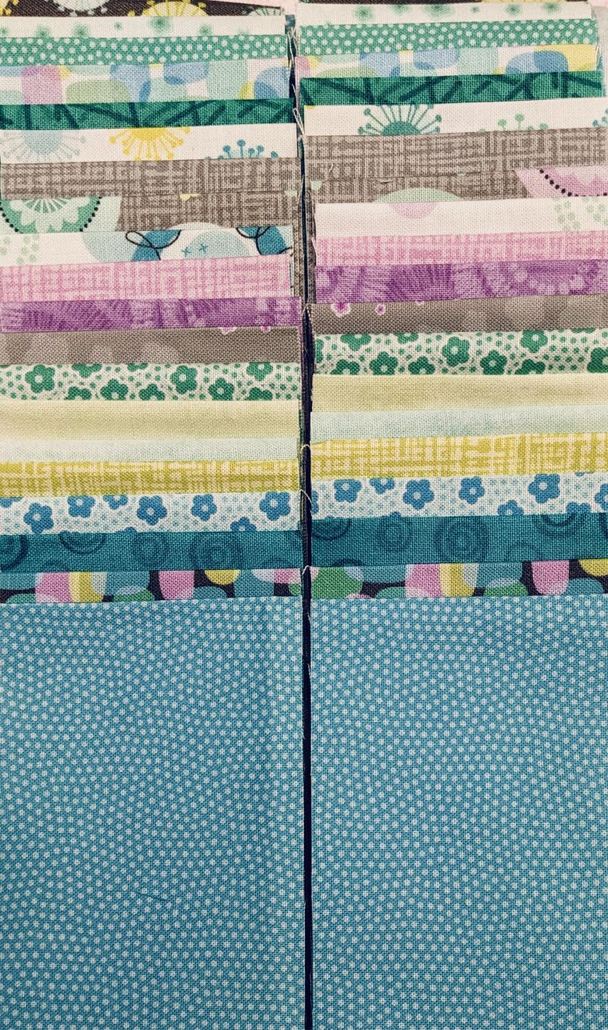 Carefree 2.5" Strips (40)