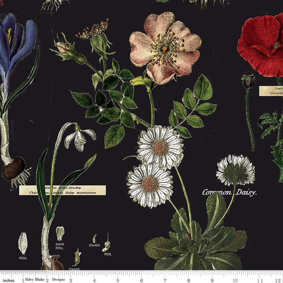 ArtJrnl Botanicals, BLK