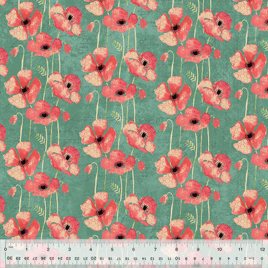 Poppy, poppy field 53454-3