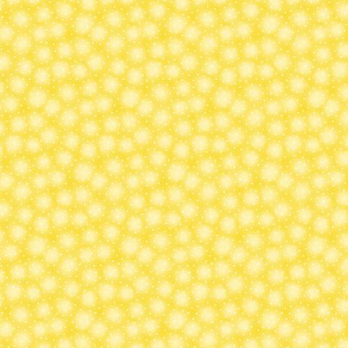 Starlet - sunshine
