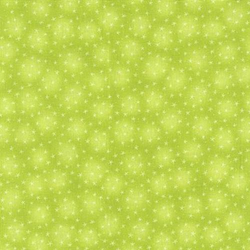 Starlet - Kiwi