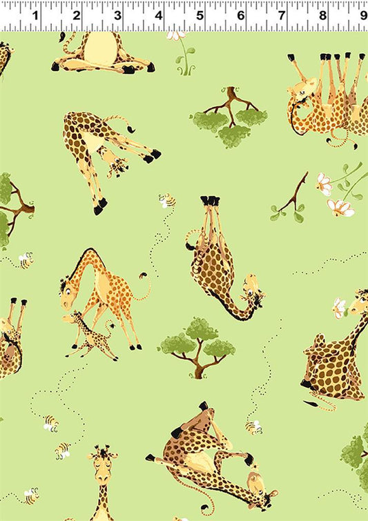 Zoe the Giraffe